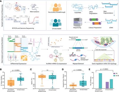 Transcriptomic study reveals lncRNA-mediated downregulation of innate immune and inflammatory response in the SARS-CoV-2 vaccination breakthrough infections